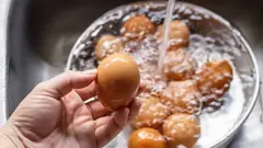 Yumurtayı Sakın Yıkamayın Kabuğundaki O Koruyucu Tabaka Giderse İçeriye Zehirli Bakteri Giriyor - Tisserand